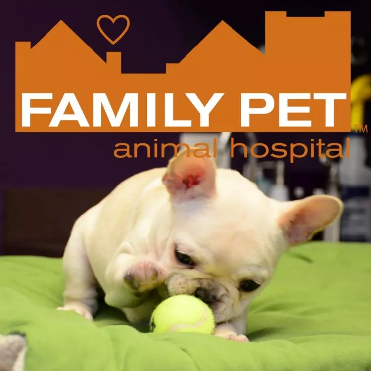 Family Pet Animal Hospital, Illinois, Chicago
